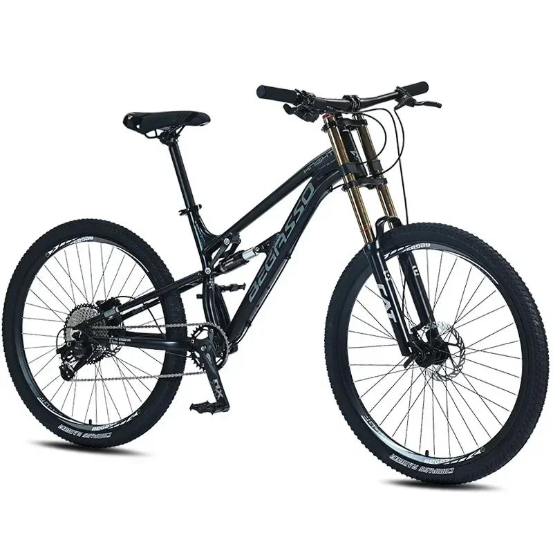 Full Suspension Mountain Bike